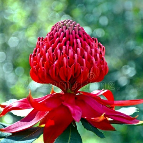 Happy Autumn into Winter!🌷 - Picture 9 of 16